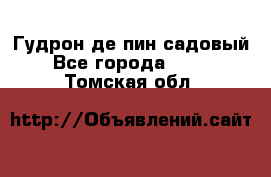 Гудрон де пин садовый - Все города  »    . Томская обл.